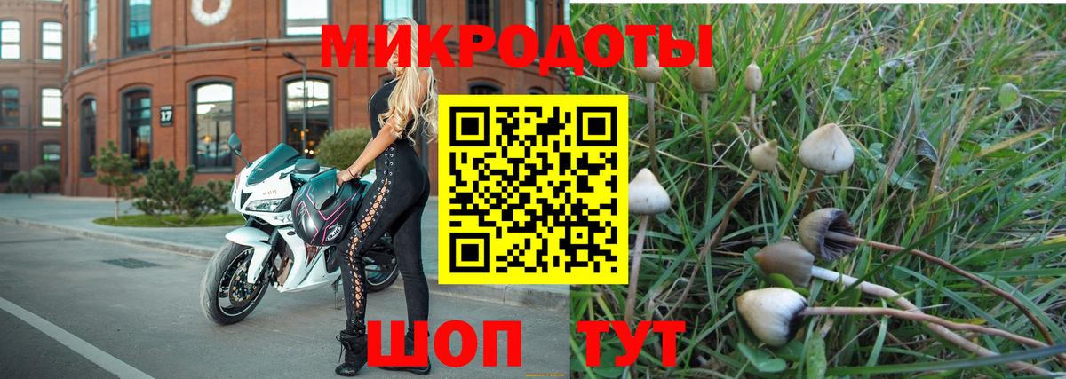 как найти   Галлюциногенные грибы Psilocybe  Вход с VPN  Ухта 